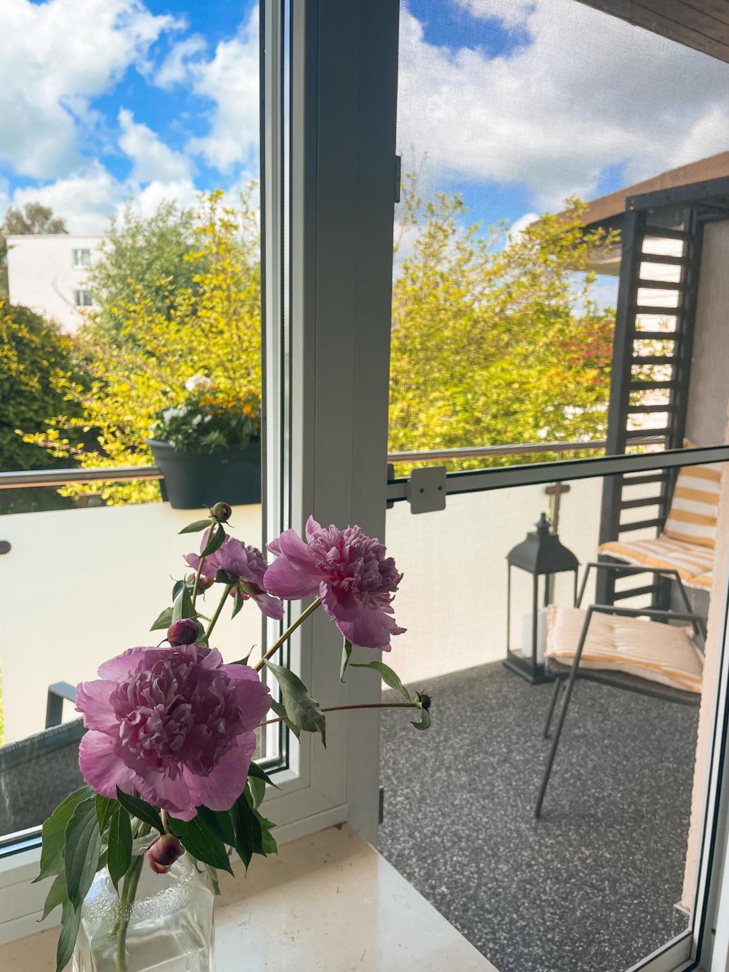 Appartment Paula Wolfhagen Екстериор снимка